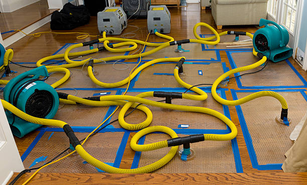 Professional Sewage Cleanup technician working in Olga, FL